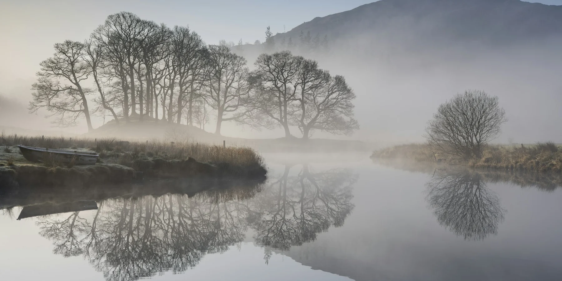 Bare trees and a hillside reflected in still water beneath morning mist
